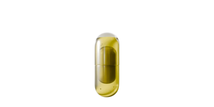 FACTS CAPSULE